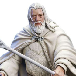 POP! :: Le Seigneur des Anneaux Gandalf le Blanc Exclusif